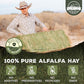 9lb Farm Fresh Alfalfa Hay for Rabbits, Guinea Pigs, Chinchillas, Goats, Hamsters & Ferrets - Organic Small Animal Food Rich in Protein & Fiber - Fresh Dried, Hand-Selected, USA Grown