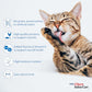INABA Churu Indoor Care for Hairball Control, Functional Lickable Cat Treat with Taurine & Green Tea Extract, 0.5oz Each, 20 Tubes Total, Tuna & Chicken Variety