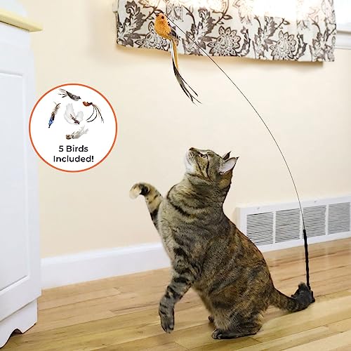 Whiskertons Interactive Bird Simulation Cat Toy Set, Interactive Cat Toys for Indoor Cats, Cat Feather Toy, Self-Holding Suction Base, 5 Replacement
