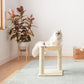 Basics Cat Condo Tower with Hammock Bed and Scratching Post,Easy to Assemble,Plush Hammock,Interactive Hanging Ball,Durable Sisal Scratch Posts for Indoor Cats, 15.8 x 15.8 x 19.7 Inches, Beige