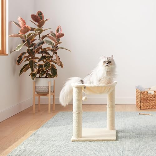 Basics Cat Condo Tower with Hammock Bed and Scratching Post,Easy to Assemble,Plush Hammock,Interactive Hanging Ball,Durable Sisal Scratch Posts for Indoor Cats, 15.8 x 15.8 x 19.7 Inches, Beige
