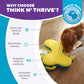 Outward Hound by Nina Ottosson Dog Tornado – Interactive Treat Puzzle Enrichment Toy, 3 Spinning Layers, Level 2 Intermediate