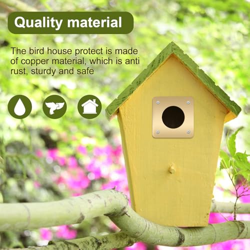 Hotop 18 Pcs 1 1/2'' Opening Metal Bird House Guard Portal Bird House Hole Protector with Copper Open Protector Guards for Eastern Bluebird Rooms Sparrow Houses(Opening)