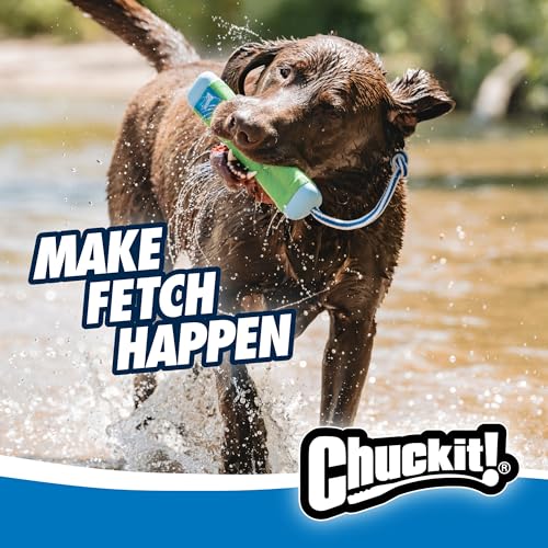 Chuckit! Amphibious Bumper Fetch Stick Toy for Dogs - Floats in Water - Interactive Dog Toys to Keep Them Busy - Tough Rubber, Nylon, and Foam - Non-Slip Rope Handle - Size Medium - Assorted Colors