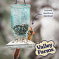 Valley Farms Super Deluxe Wild Bird Food for Outside feeders - 0% fillers - Loads of Sunflower Seed - w/Peanut kernels -Feed More Birds w/Less Seed (4 LBS)
