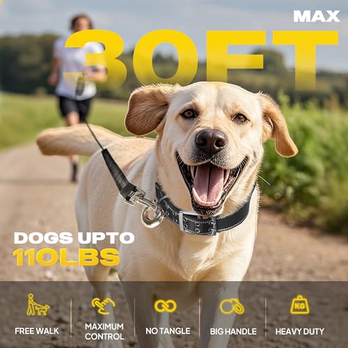 Fida Upgraded Retractable Dog Leash 30ft, Heavy Duty Pet Walking Leash for Medium/Large Breed up to 110 lbs, 360° Tangle-Free Long Retract Dog Lead