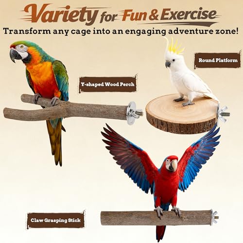 6 PCS Bird Perch Set, Natural Birch Wood Straight & Forked Perches with Platforms for Parakeets, Cockatiels, Conures, Lovebirds - Cage Accessories for Climbing & Exercise