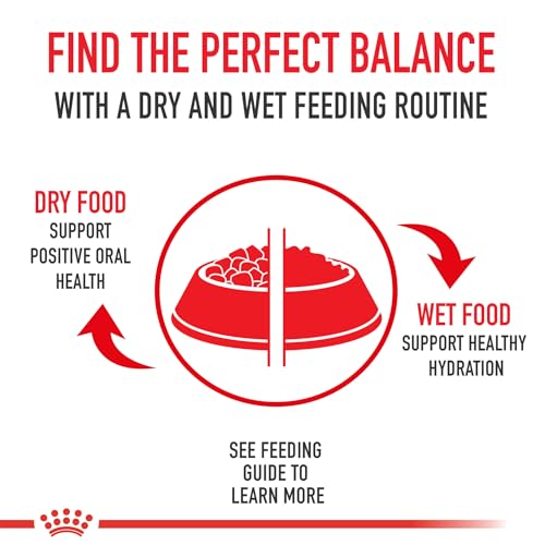 Royal Canin Feline Health Nutrition Kitten Dry Cat Food, 7 lb Bag