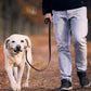 QUMY Leather Dog Leash 6ft, Heavy Duty Dog Training Leash for Large and Medium Dogs, Soft and Strong Genuine Leather Braided Handmade Long Lead Leash