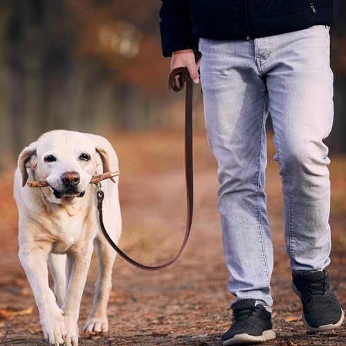 QUMY Leather Dog Leash 6ft, Heavy Duty Dog Training Leash for Large and Medium Dogs, Soft and Strong Genuine Leather Braided Handmade Long Lead Leash