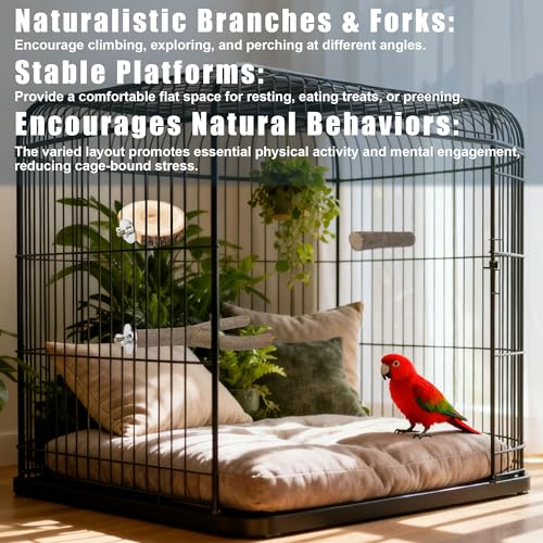 6 PCS Bird Perch Set, Natural Birch Wood Straight & Forked Perches with Platforms for Parakeets, Cockatiels, Conures, Lovebirds - Cage Accessories for Climbing & Exercise