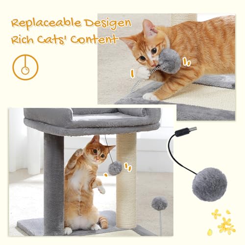 PAWZ Road Cat Scratching Post Bed, Small Cat Tree Tower with Cat Scratcher Pad Large Top Removable Bed with Play Ball Great for Kittens and Cats