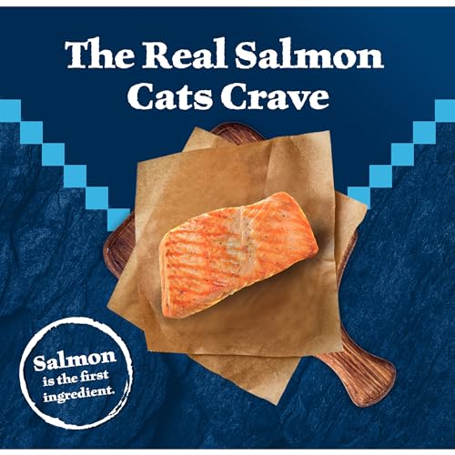 Blue Buffalo Wilderness Natural High Protein, Grain Free Dry Food for Adult Cats, Salmon, 11-lb Bag