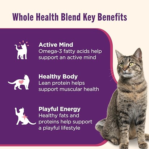 Nutrish Grain Free Ocean Lover's Whole Health Blend Variety Pack Wet Cat Food, 2.8 oz. Cup, 12 Count (Rachael Ray)
