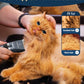 oneisall Quiet Cat Clippers for Matted & Long Hair, 2-Speed Cordless Pet Shaver Grooming Kit for Cats, Small Dogs & Animals (Blue)