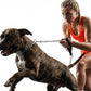 Heavy Duty Dog Leash,Metal Dog Chain Leash with Padded Handle for Large & Medium Size Dogs (6 ft. x 3.0 mm (25-120 lbs.))