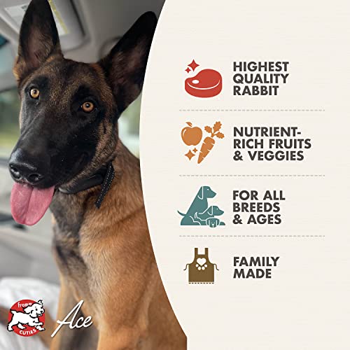 Fromm Four-Star Nutritionals Hasen Duckenpfeffer Dog Food - Premium Dry Dog Food - Rabbit Recipe - 4 lb