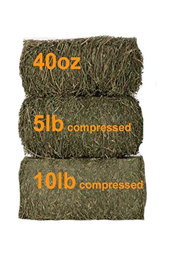 Grandpa's Best Timothy Hay Bale, 5lbs