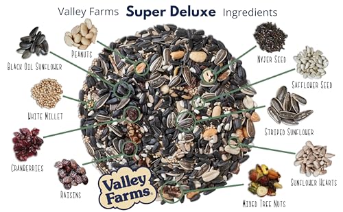 Valley Farms Super Deluxe Wild Bird Food for Outside feeders - 0% fillers - Loads of Sunflower Seed - w/Peanut kernels -Feed More Birds w/Less Seed (4 LBS)
