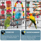 Bissap Bird Chew Toys, 7 Packs Parakeet Natural Wood Toys Parrot Hanging Cage Toy Perch Stand for Small Birds Conure Cockatiel Parrotlet Lovebird Budgie