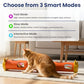 PAWSPIK Electric Feather Teaser Tube Cat Toy, Interactive Automatic Cat Toy for Indoor Cats, Smart Random Feather Play, Long Battery Life, Pet-Safe