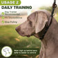 Fida Durable Slip Lead Dog Leash, 6 FT x 1/2" Heavy Duty Dog Loop Leashes, Comfortable Strong Rope Slip Leash for Large Medium Dogs, No Pull Pet