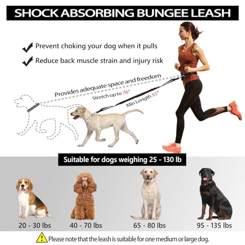 Hands Free Dog Leash, Waist Running Leash with Zipper, Walking Pouch for Medium Large Dogs, Dual Handle and Retractable Bungee for Training Jogging