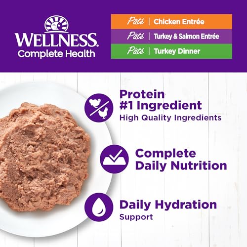 Wellness Complete Health Pate Adult Wet Cat Food, Natural, Protein-Rich, Grain Free, 3 Ounce, 12 Pack, (Chicken & Turkey Favorites Variety Pack)