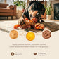 2 Pack Indestructible Dog Chew Toys for Aggressive Chewers: Ultra-Dense Nylon, Bacon Flavor Chew Bones, Heavy Duty Tough Toys for Large Dogs 20-90 lbs, Long Lasting & Keep Them Busy (XL)