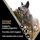 VICTOR Super Premium Dog Food – Purpose – Senior Healthy Weight Management – Dry Dog Food for Adult Dogs – Gluten Free with Glucosamine and