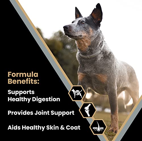 VICTOR Super Premium Dog Food – Purpose – Senior Healthy Weight Management – Dry Dog Food for Adult Dogs – Gluten Free with Glucosamine and