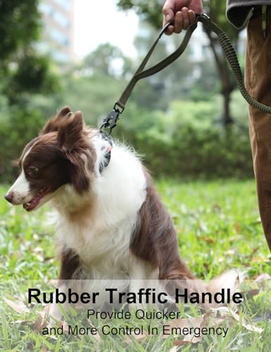 TINMARDA Heavy Duty Dog Leash with 2 Padded Handles & Advanced Easy Metal Clip, 4-6FT Shock Absorbing No Pull Dog Leashes for Medium Large Dogs that