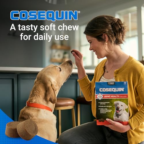 Nutramax Cosequin for Dogs Joint Health Supplement, Contains Glucosamine, Plus Chondroitin, MSM and Omega-3s, Supports Joint and Skin and Coat
