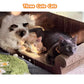 Extra Large Cat Scratcher Bed, 32 Inch Cat Scratching Board Cat Couch, Durable Cardboard Cat Scratcher Lounger, Modern Stylish Cats Bed for Indoor Cats, Furniture Protector
