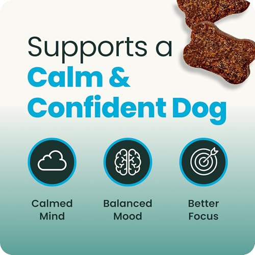 VetriScience Calm & Confident Chews, Composure Clinically Tested Calming and Anxiety Supplement for Dogs, Reduce Stress and Fear, Ideal for