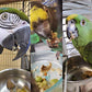 Bird Street Bistro Parrot Food - Parakeet & Cockatiel Food - Cooks in 3-15 min w/Natural & Grains, Legumes, Non-GMO Fruits, Vegetables & Healthy Spices