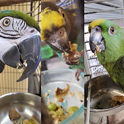 Bird Street Bistro Parrot Food - Parakeet & Cockatiel Food - Cooks in 3-15 min w/Natural & Grains, Legumes, Non-GMO Fruits, Vegetables & Healthy Spices