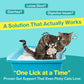 Doctor By Cat Biome Probiotics for cats Anti Diarrhea Feline Gut & Digestive Support Immune Health Sensitive Stomach Constipation with L. plantarum+Prebiotics 30 Lickable Formula Individually Packaged