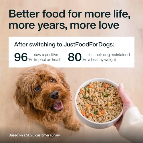 JustFoodForDogs Frozen Fresh Dog Food, Complete Meal or Topper, Beef & Russet Potato Human Grade Recipe, 18 oz (Pack of 7)