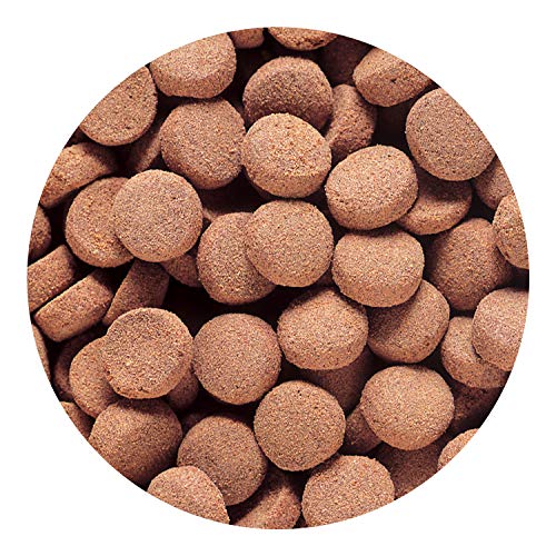 Hikari Tropical Massivore Delite Fish Food, 13.4 oz (380g)