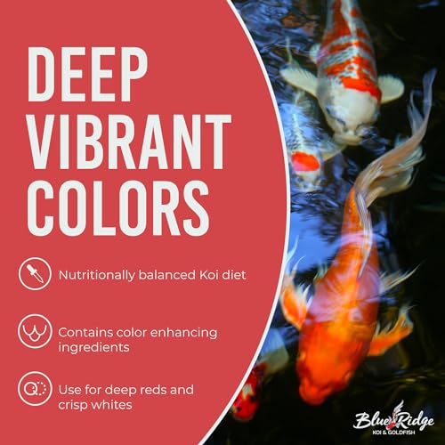 Blue Ridge Koi Fish Food 14lb - Koi Food 3/16” Platinum Pro Formula Goldfish Food, Premium Fish Food for Ponds, Ponds Fish Food, Floating Pond Pellet