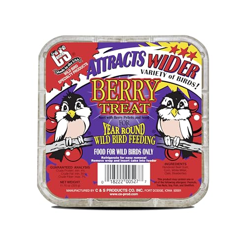 C&S Berry Suet Treat, Wild Bird Food for Robins, Blue Jays, Bluebirds, Tanagers, Thrushes and More, 8 Pack