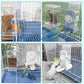 No Mess Bird Feeder Water Dispenser Set, Parakeet Cage Accessories, Bird Feeder and Waterers in Cage for Cockatiels, Finches, Lovebirds, Budgies, Canaries