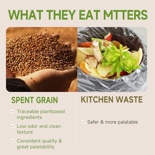 5LB Non-GMO Dried Black Soldier Fly Larvae for Chickens 45% Protein High Calcium Chicken Feed Alternative to Mealworms, Dried BSF Larvae Chicken Treats for Laying Hens Ducks Birds Reptiles
