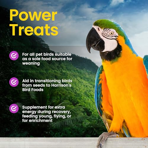 Harrison's Bird Food Power Treats with Red Palm Fruit Oil, 1 lb. 454g