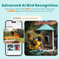 NETVUE by Birdfy Smart Bird Feeder with 2K HD AI Camera Solar Powered, Wireless Wildbird Watching, Live Stream&Color Night Vision, Auto-Capture & Notify, Free Cloud Storage(AI by Subscription)