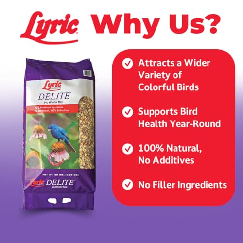 Lyric Delite Wild Bird Seed for Outside Feeders - No Waste Bird Food, Shell-Free Nuts & Seeds Mix, Attracts Buntings, Chickadees & Finches, 20 lb Bag