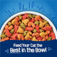 Purina Friskies Dry Cat Food Seafood Sensations With Salmon, Tuna, and Shrimp Flavors - 22 lb. Bag
