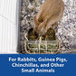Kaytee Hay & Food Bin Feeder With Quick Locks For Pet Rabbits, Chinchillas, Guinea Pigs and Other Small Animals