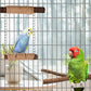 7-Piece Bird Perches for Cage- Wooden Parrot Stand with Fork Toys, Hanging Multi-Branch Platform, Hammock Swing, Gym Playstand & Chewing Toys - for Parakeets, Budgies, Lovebirds - Durable